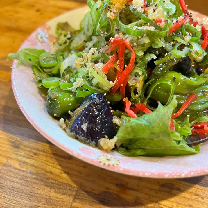 ピーマン・なす・ししとうの味噌煮浸し　〜夏野菜〜